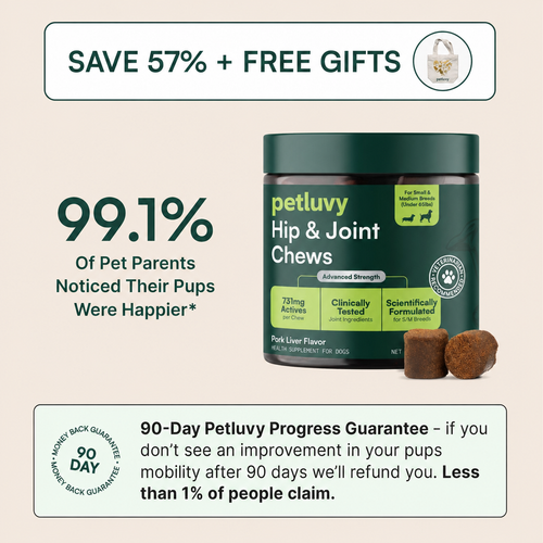 Pet Luvy Hip & Joint Soft Chews