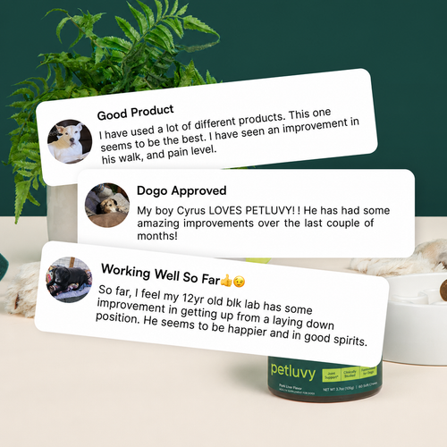 Pet Luvy Hip & Joint Soft Chews