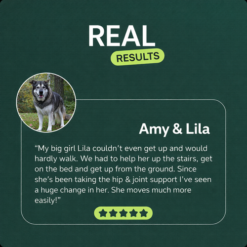 Pet Luvy Hip & Joint Soft Chews