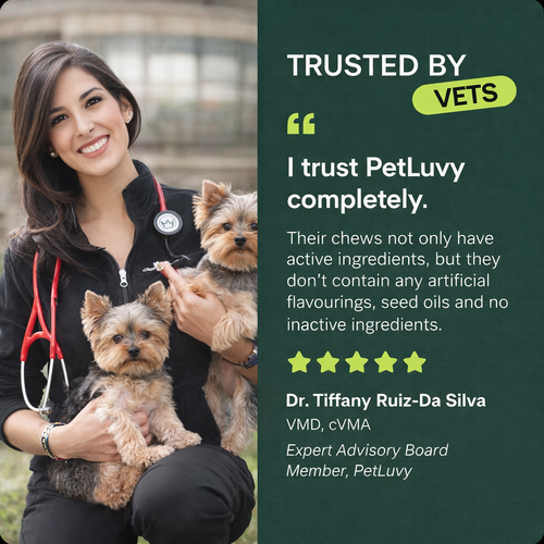 Pet Luvy Hip & Joint Soft Chews
