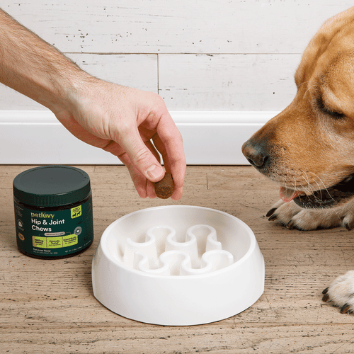 Pet Luvy Hip & Joint Soft Chews